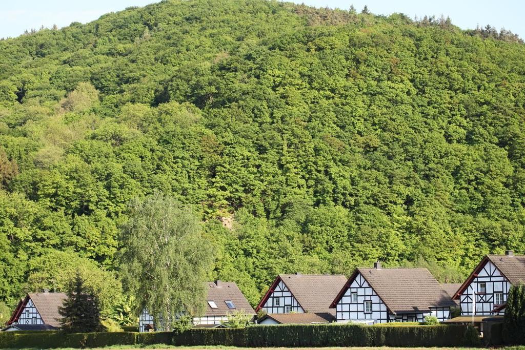 Appartamento Bos En Kasteel Nideggen Esterno foto