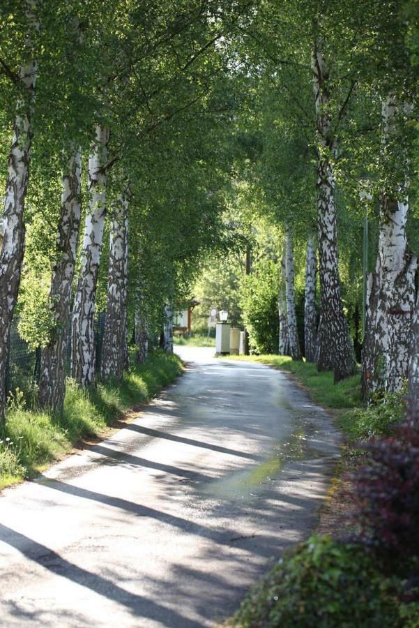 Appartamento Bos En Kasteel Nideggen Esterno foto